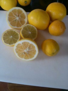 Meyer Lemony Goodness