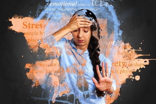 Stress response in the body